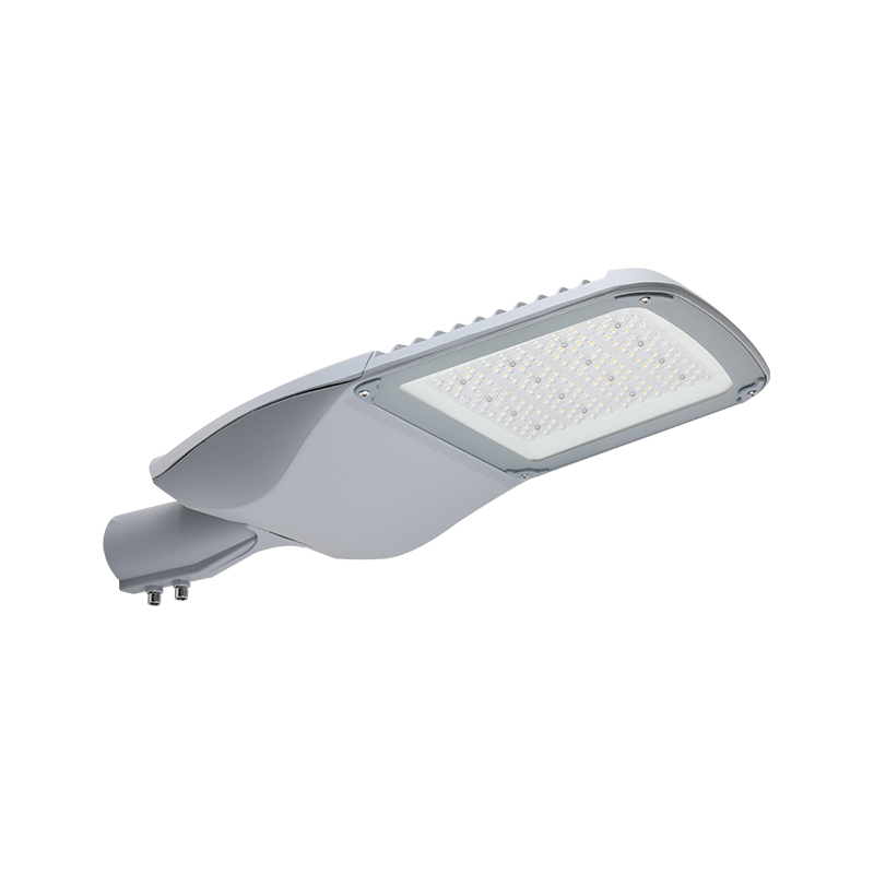 Lampu Jalan LED Siri FORTUNE 3030/5050 SMD Chip LED